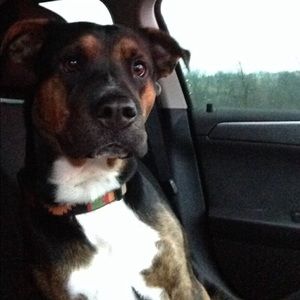 Meet your Posher, Matt